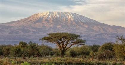 Kilimanjaro